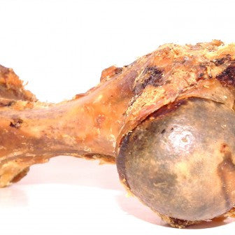Bullwrinkles Pork Humerus Bone made with pork bone